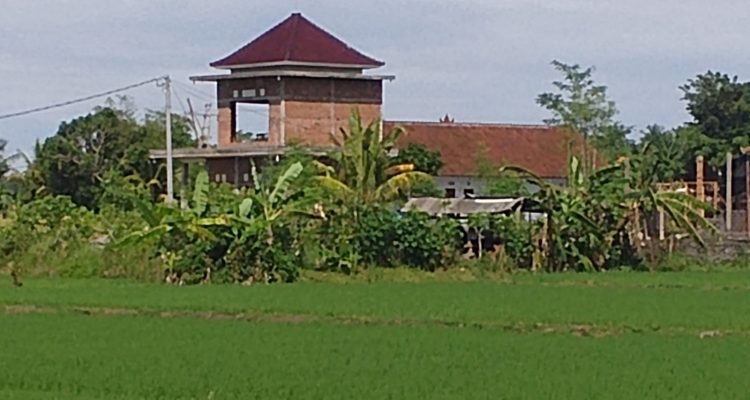 Ket Foto: Salah satu lahan sawah dilindungi (LSD) di kawasan Subak Jagaraga, Desa Penyaringan, Jembrana, yang telah beralih fungsi menjadi bangunan kos-kosan.