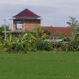 Ket Foto: Salah satu lahan sawah dilindungi (LSD) di kawasan Subak Jagaraga, Desa Penyaringan, Jembrana, yang telah beralih fungsi menjadi bangunan kos-kosan.