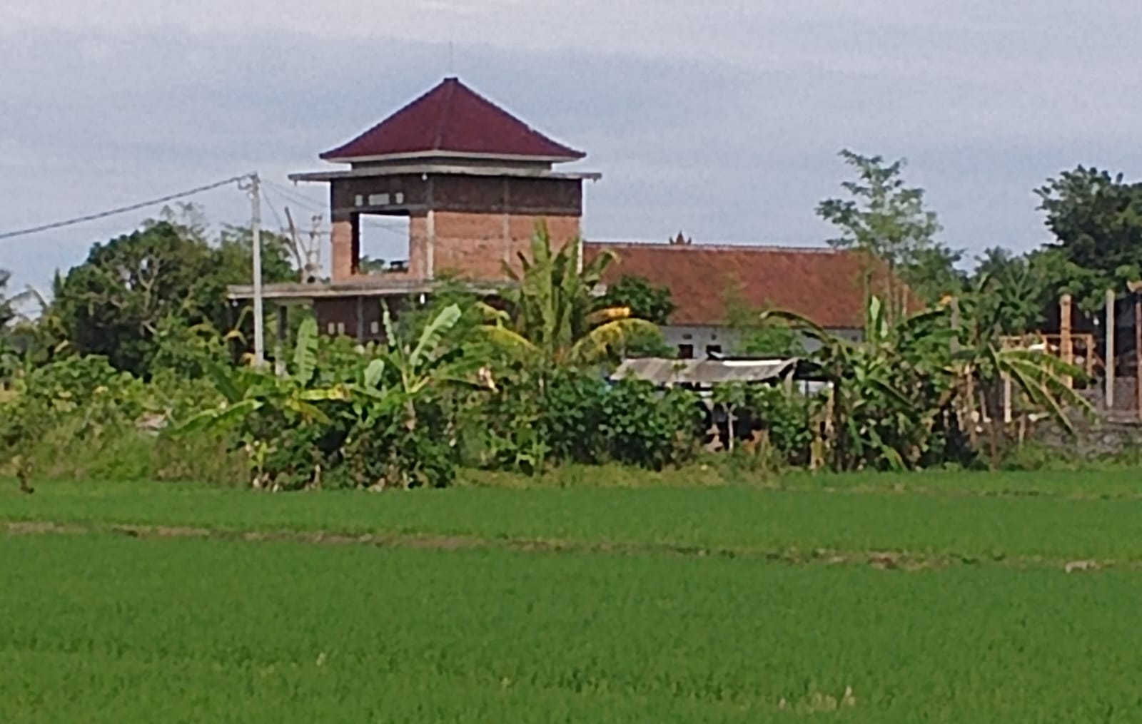 Ket Foto: Salah satu lahan sawah dilindungi (LSD) di kawasan Subak Jagaraga, Desa Penyaringan, Jembrana, yang telah beralih fungsi menjadi bangunan kos-kosan.